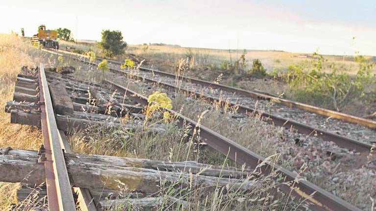 Muere Mujer Atropellada Por El Tren A Causa De Una Selfie En Guanajuato